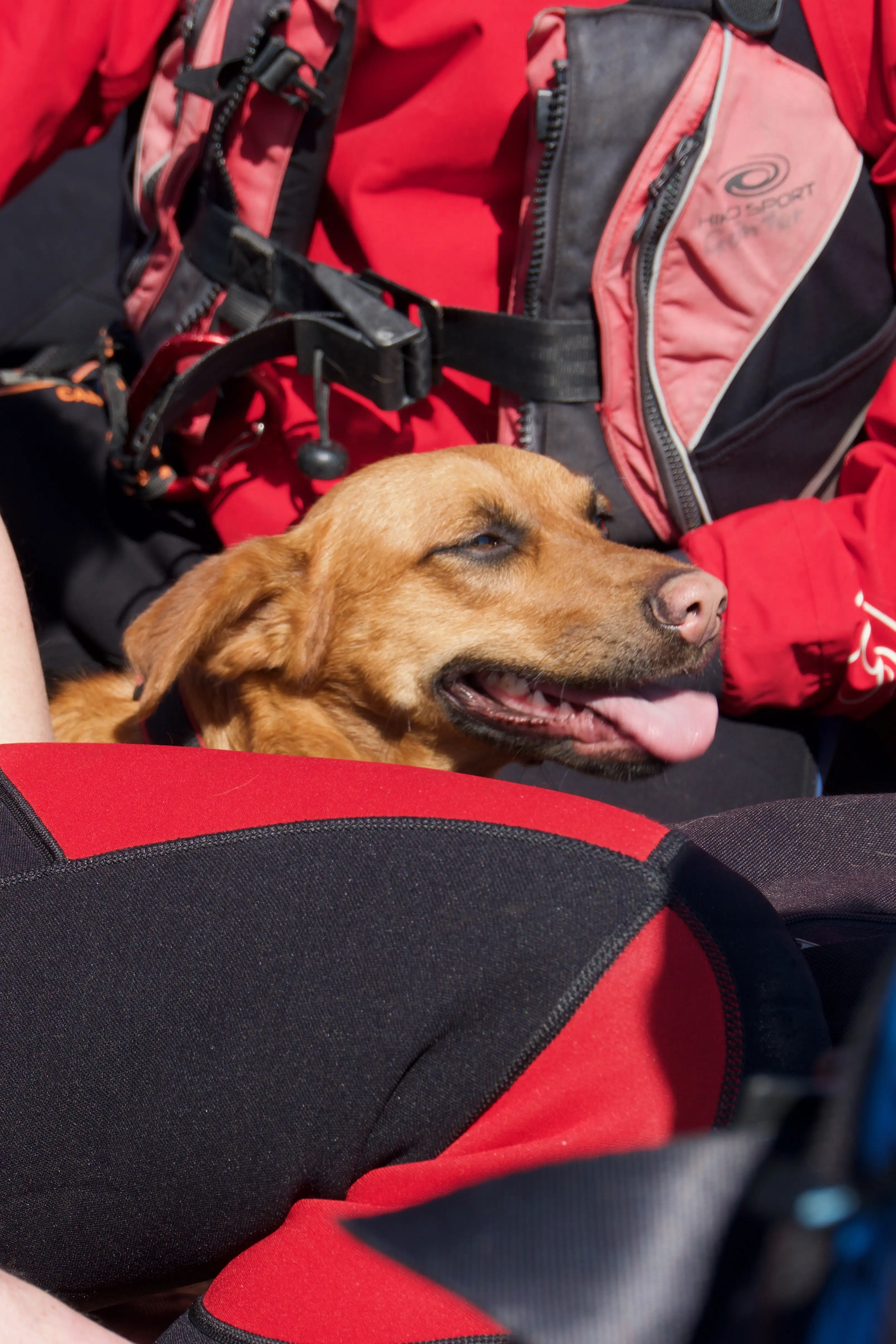Anpaddeln auf dem Rhein 2019